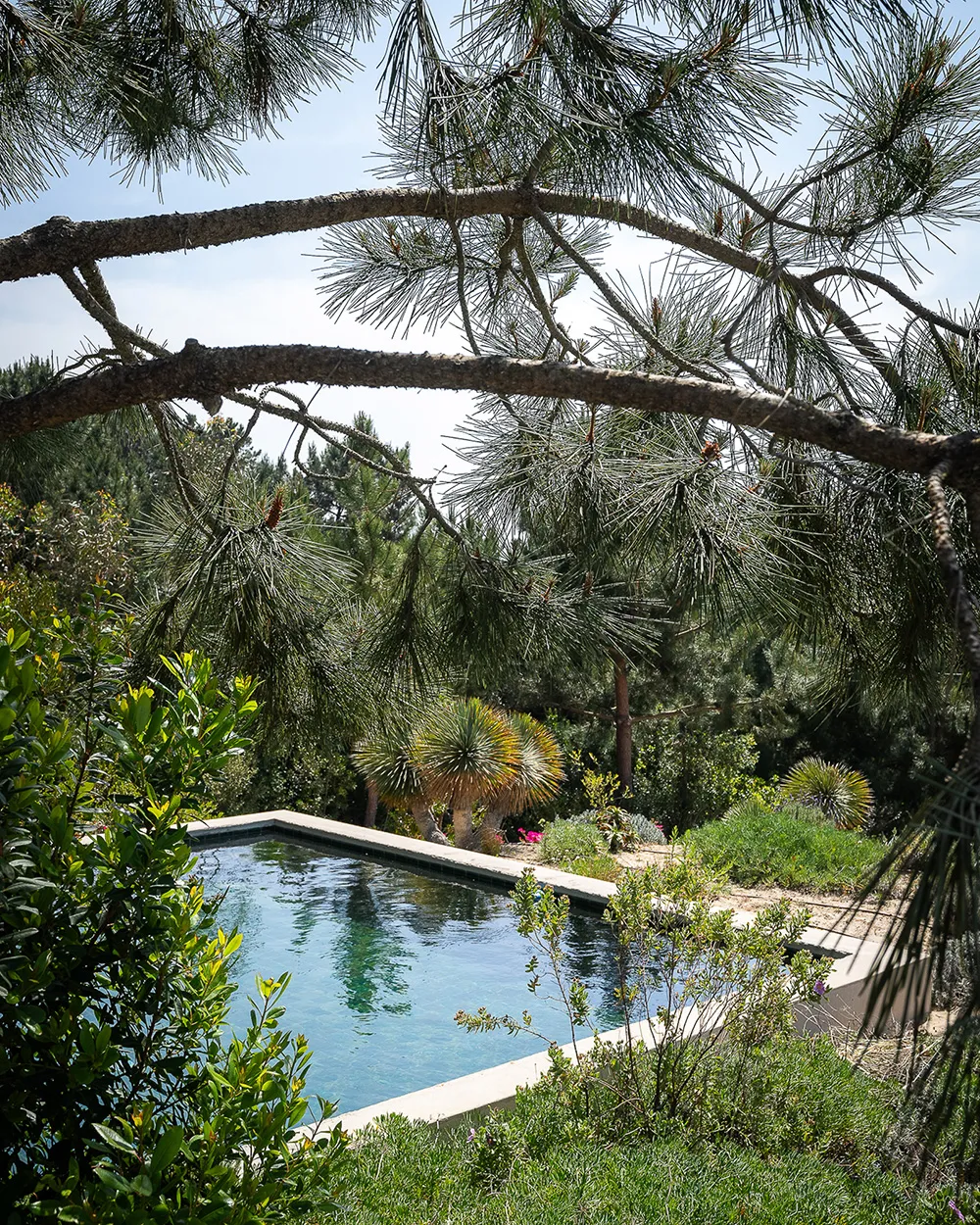 Weiße Innenräume und auffallende Details: Traditionelles Strandhaus in Portugal - Gallery image 1