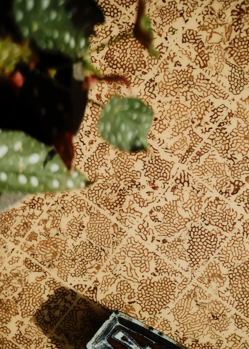 Art, Bold Accents, and English Design: A Townhouse in London - Gallery image 13