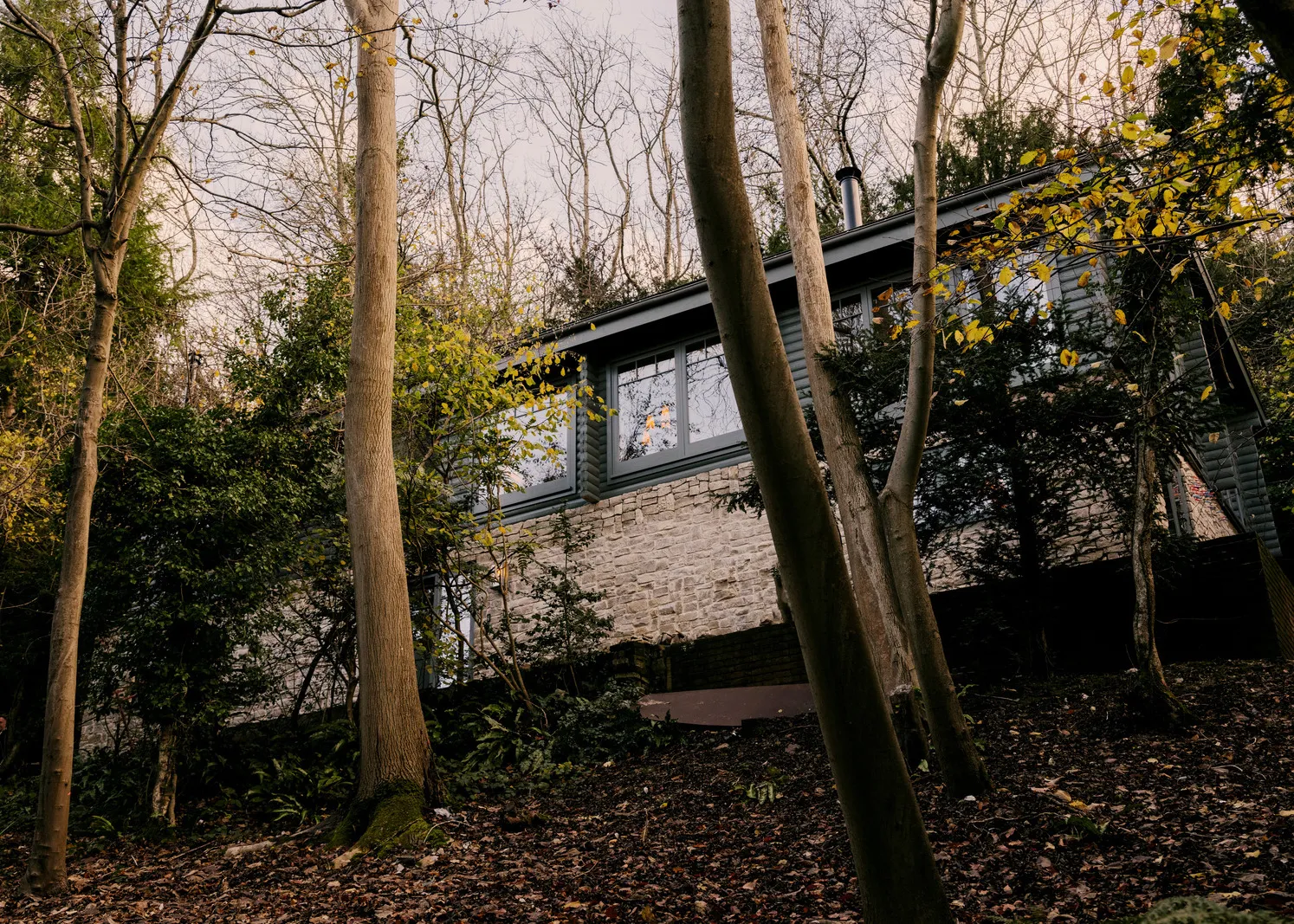 Приємні натуральні інтер'єри хутірка в лісі в Англії - Gallery image 4