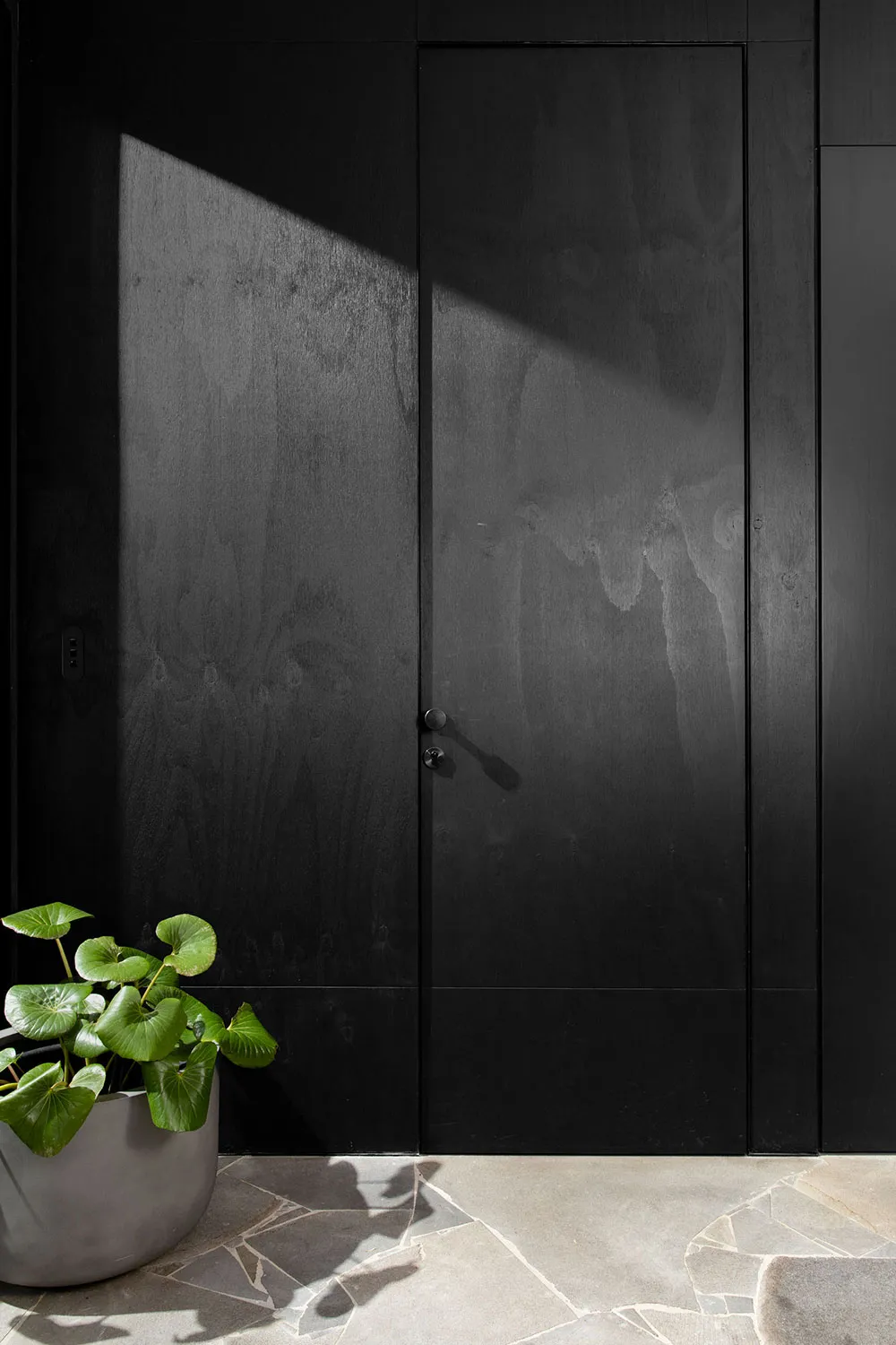 Stylish Updated Design of a Small Cottage in Sydney - Gallery image 16