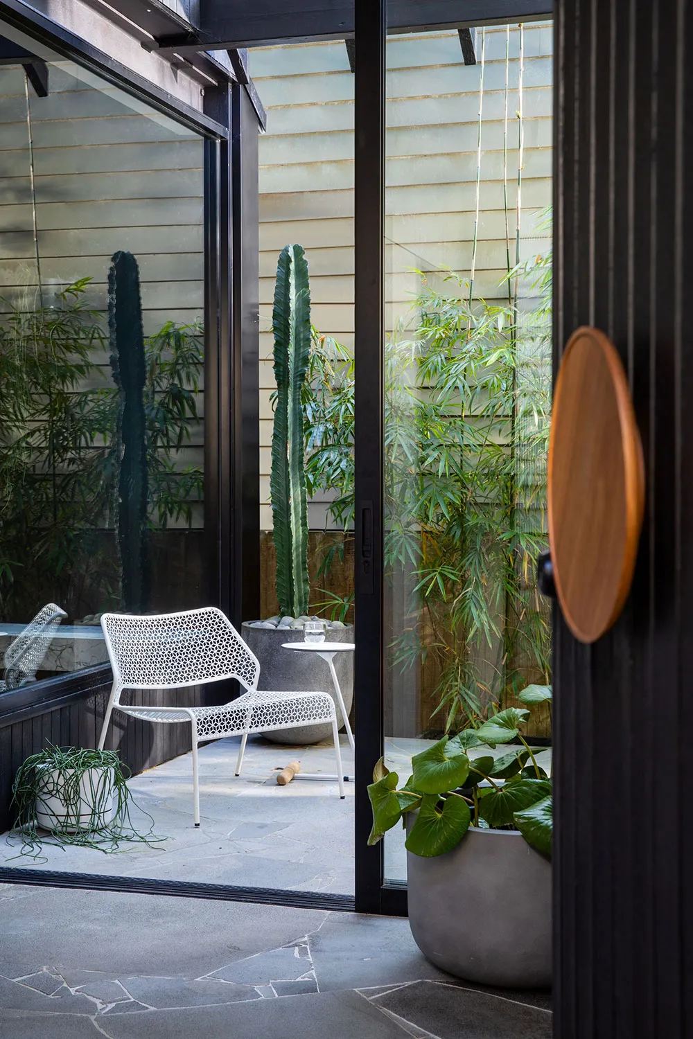 Stylish Updated Design of a Small Cottage in Sydney - Gallery image 20