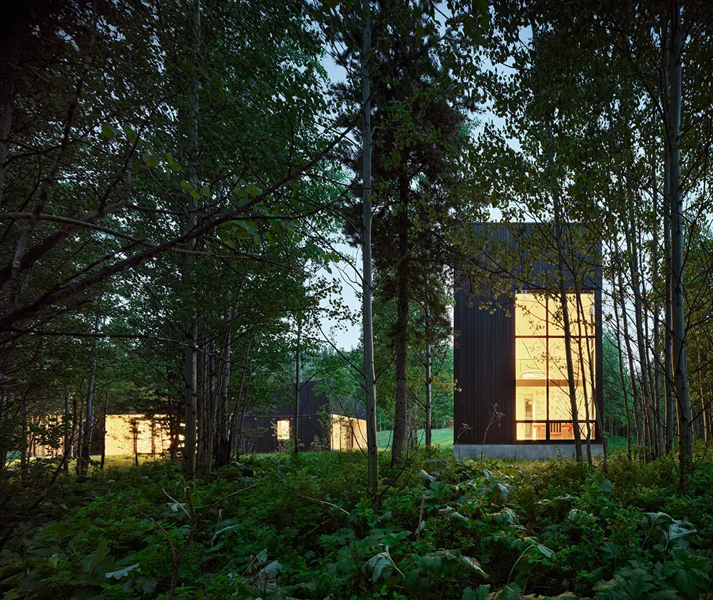 Stilvolle und gemütliche Interieurs moderner Häuser in der Eichenhecke in Kalifornien - Gallery image 5