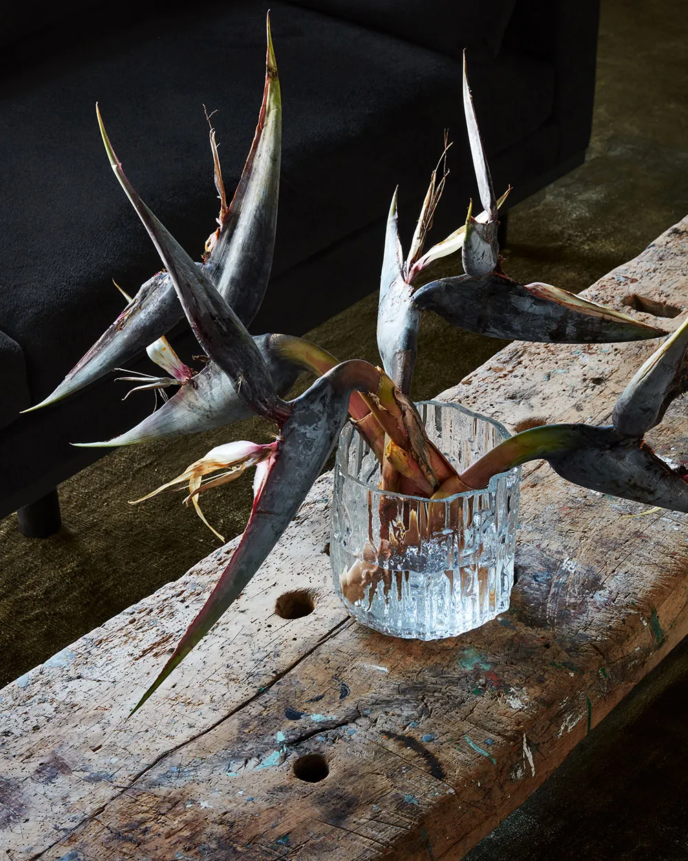 Eleganckie i nowoczesne wnętrza starożytnej fazendy w Kalifornii - Gallery image 15