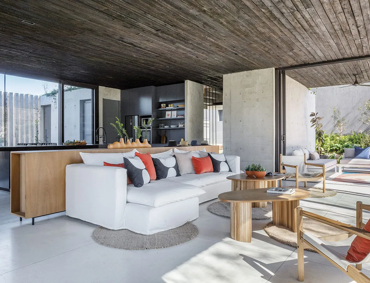 Modern Villa Made of Wood and Concrete in Argentina - Gallery image 3