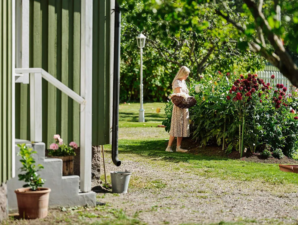 Beautiful Garden Cottage for a Young Family in Sweden - Gallery image 11