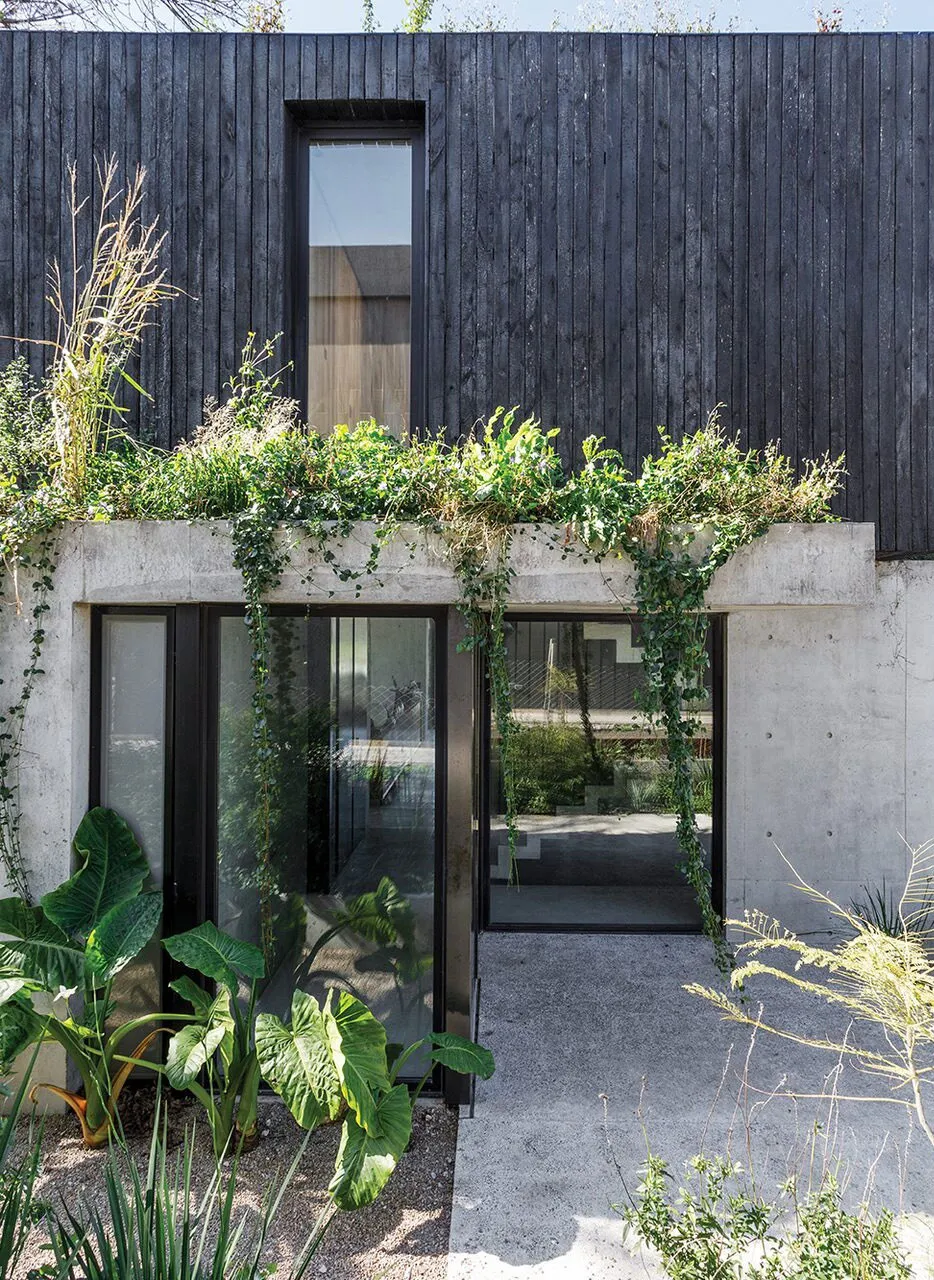 Modern Villa Made of Wood and Concrete in Argentina - Gallery image 23