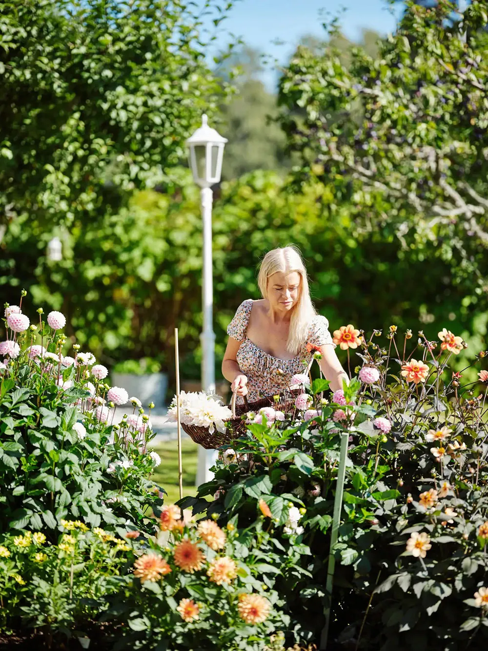 Beautiful Garden Cottage for a Young Family in Sweden - Gallery image 14