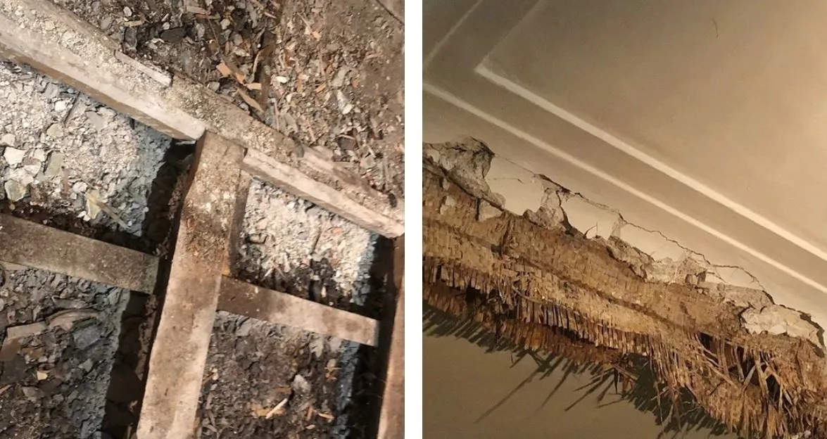 Foto: estilo , Guía – fotos en nuestro sitio web