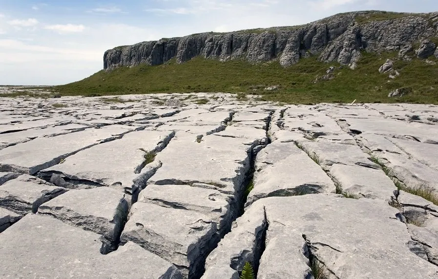 图片：风格、技巧，德米特里·西瓦克 – 我们网站上的照片