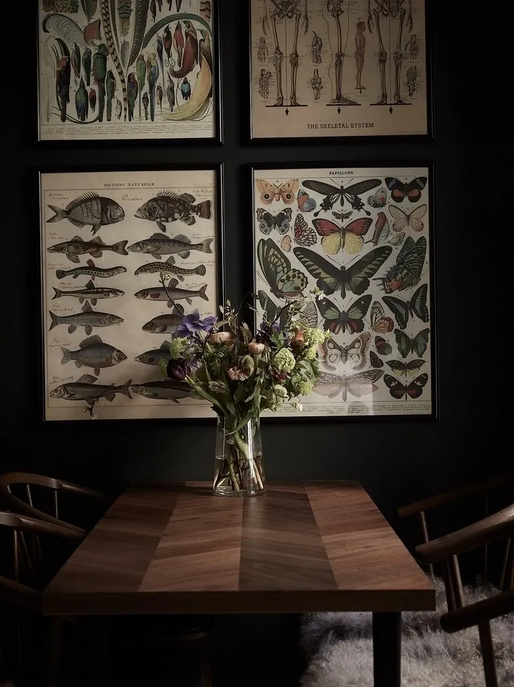 照片：现代装饰，室内装饰，公寓，瑞典，2间房，40-60平方米 – 我们网站上的照片