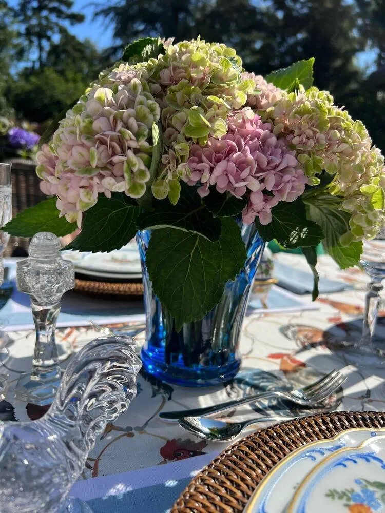 照片：Regina van Wlit的作品