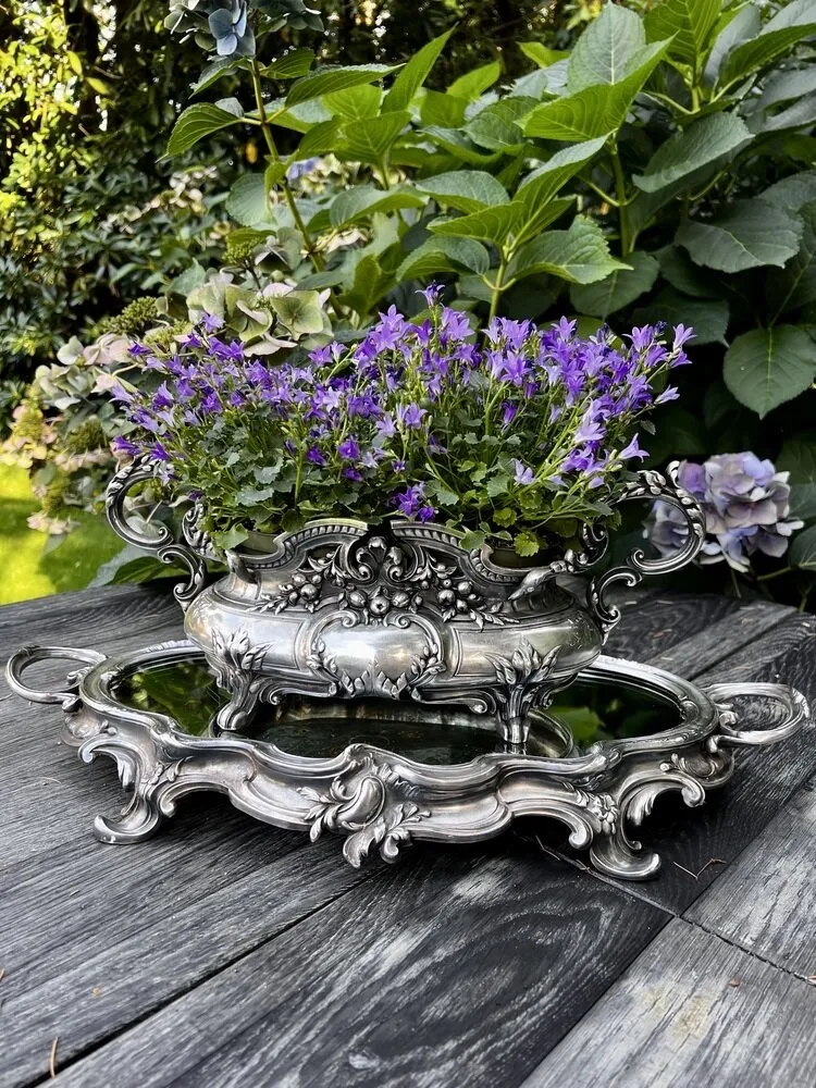 照片：Regina van Wlit的作品