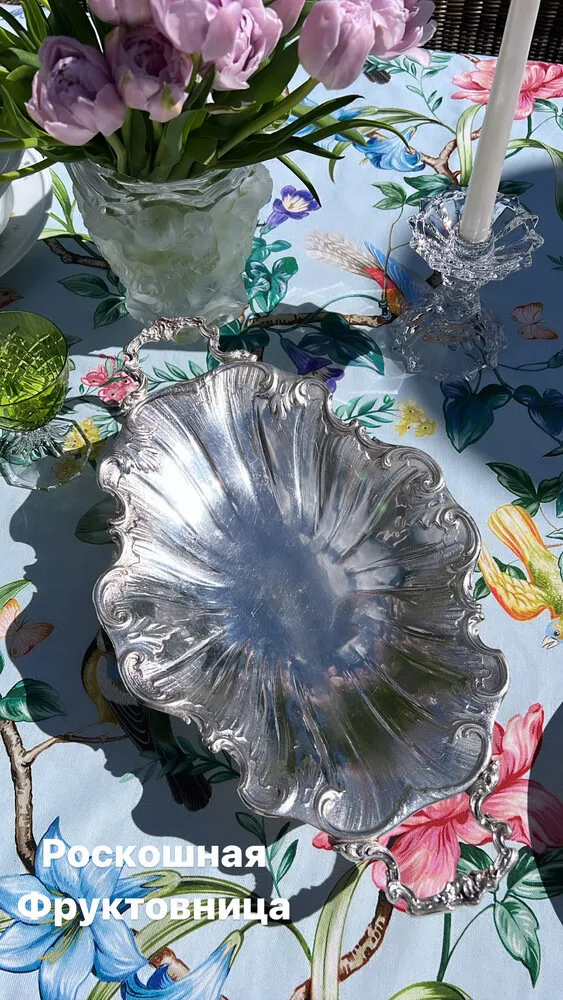 照片：Regina van Wlit的作品