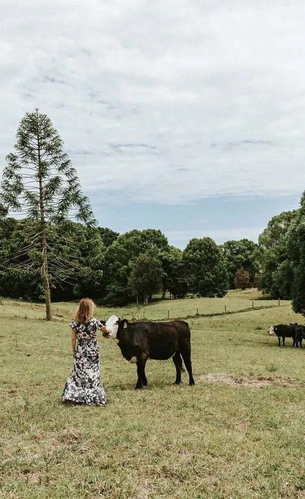 照片:客厅在现代、普罗旺斯和小屋、斯堪的纳维亚风格房屋,白色、米色、灰色、住宅和小屋 – 我们网站上的照片
