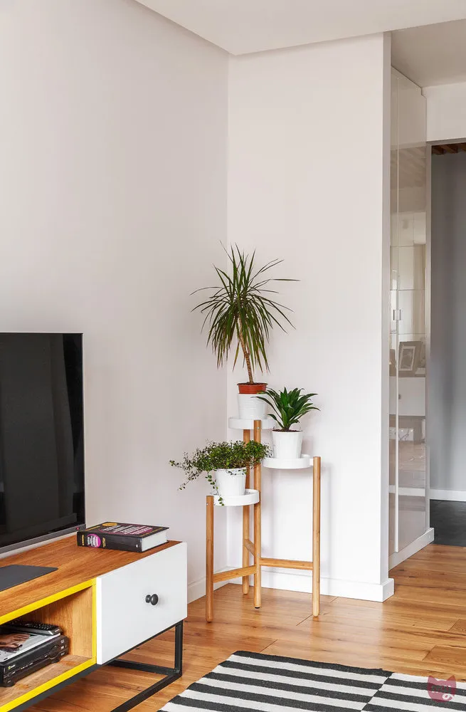 设计：Pavel Gerasimov, Geometrium Studio