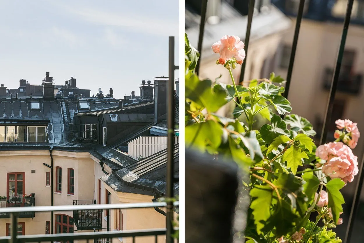 照片：经典风格，室内装饰，公寓 - 我们网站上的照片