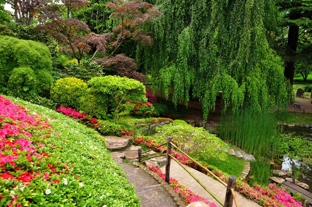 照片：现代景观，指南，设计指南，Olga Shapovalova – 我们网站上的照片