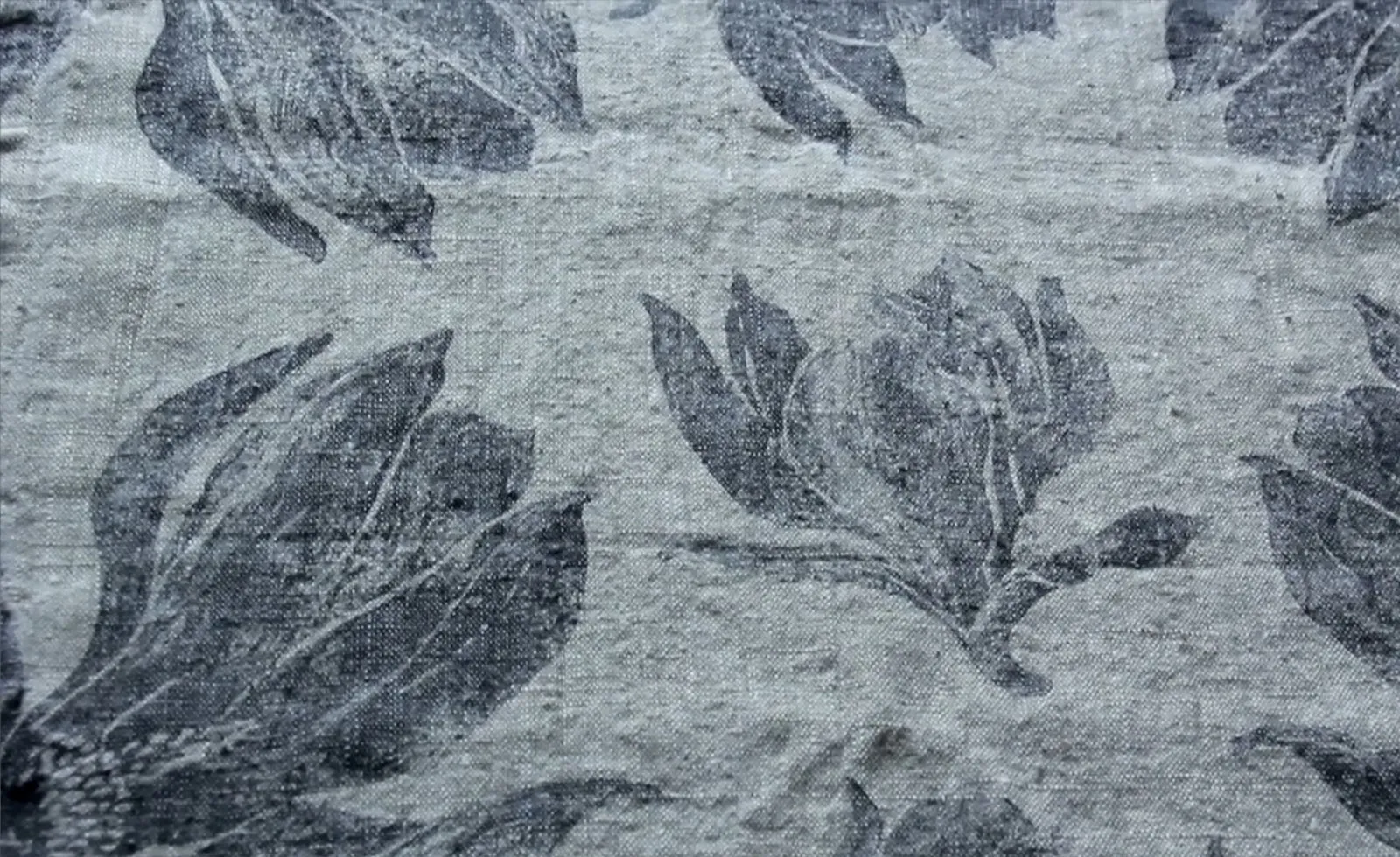 Photo : Style américain, Cuisine et salle à manger, Décoration d'intérieur, Conseils – photos sur notre site