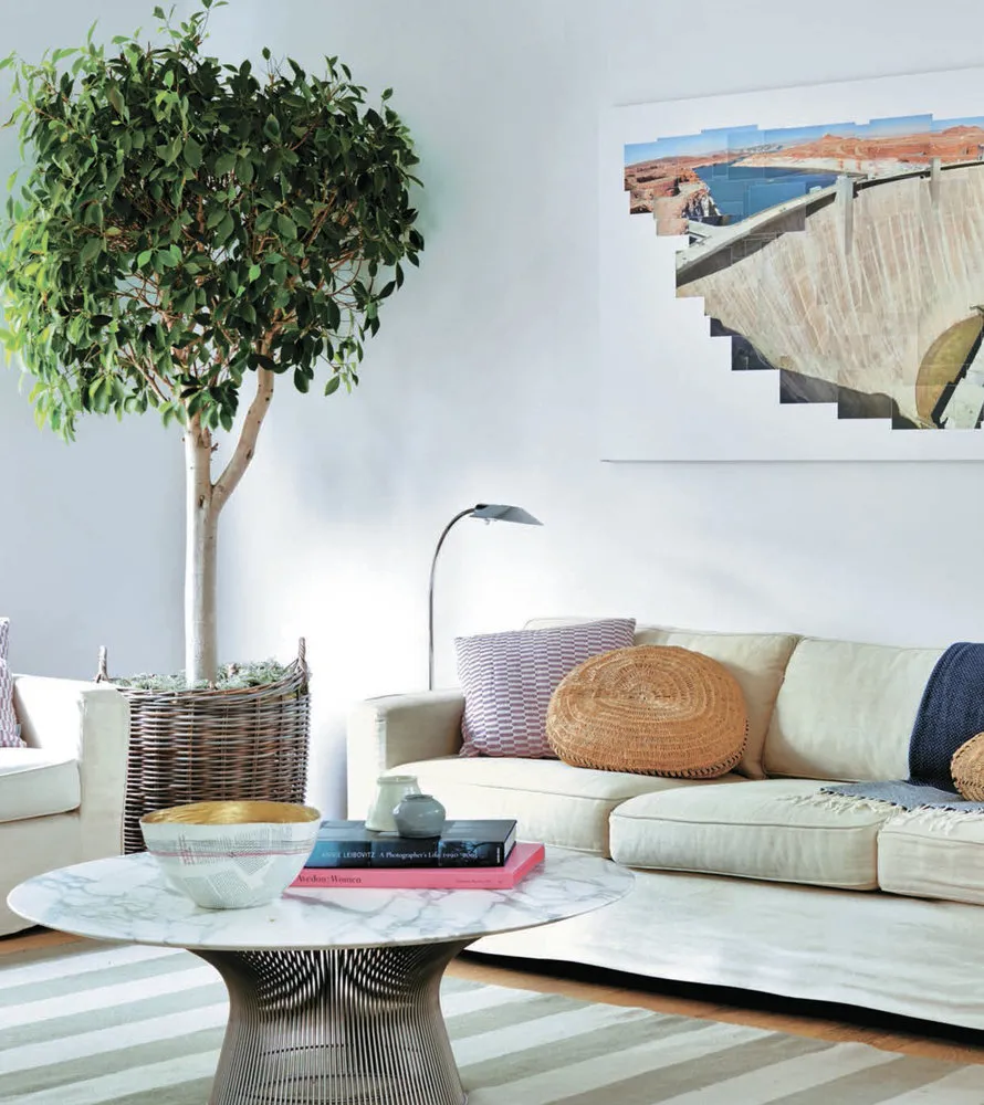 照片：风格，技巧——我们网站上的照片