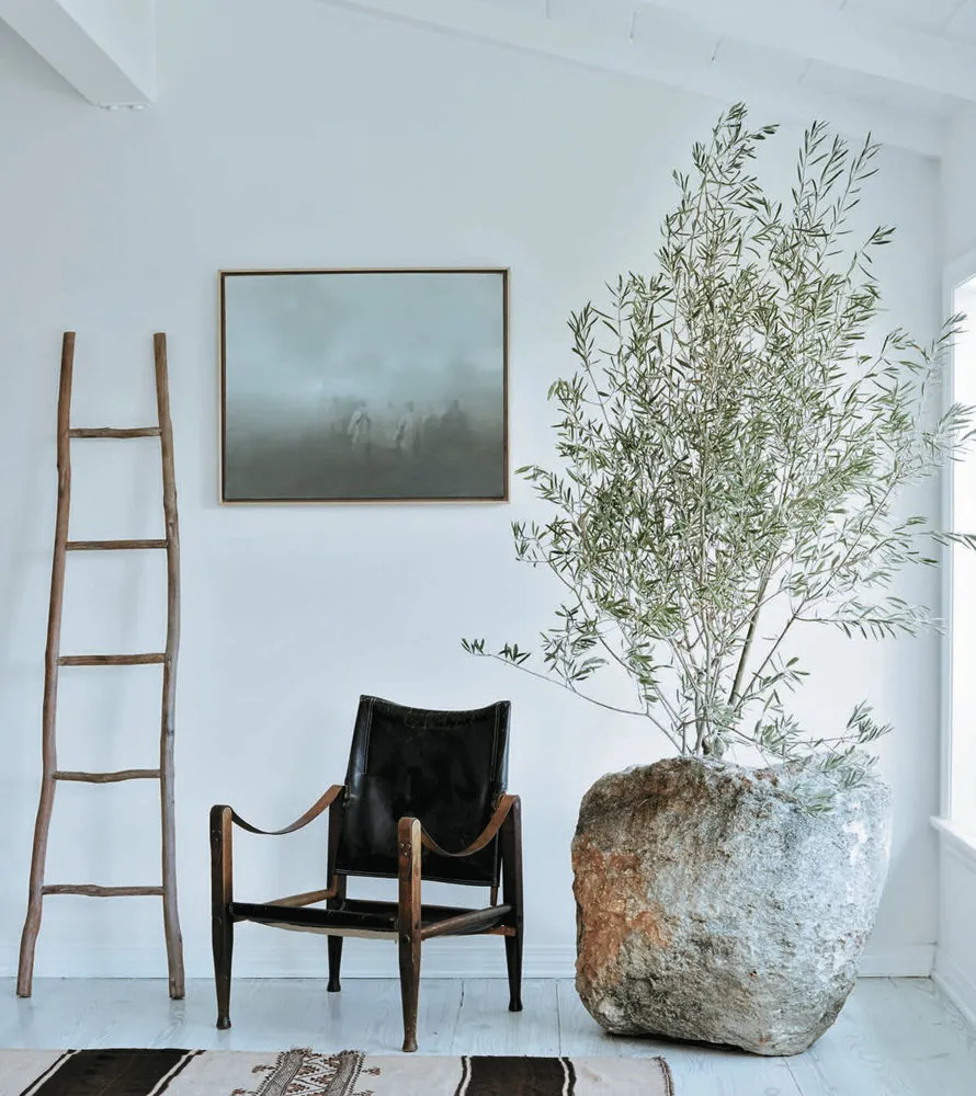 照片：风格，技巧——我们网站上的照片