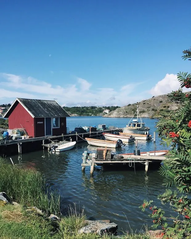 照片:风格,室内装饰,房屋,瑞典,哥德堡,威廉·莫里斯 – 我们网站上的照片