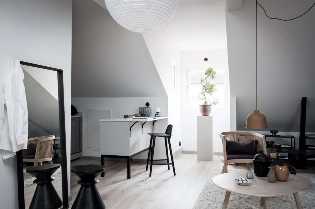 照片:现代、斯堪的纳维亚风格厨房和餐厅,室内装饰,公寓,工作室,白色,米色,灰色,loft风格室内设计,面积小于40平方米,艾玛·菲舍尔——我们网站上的照片