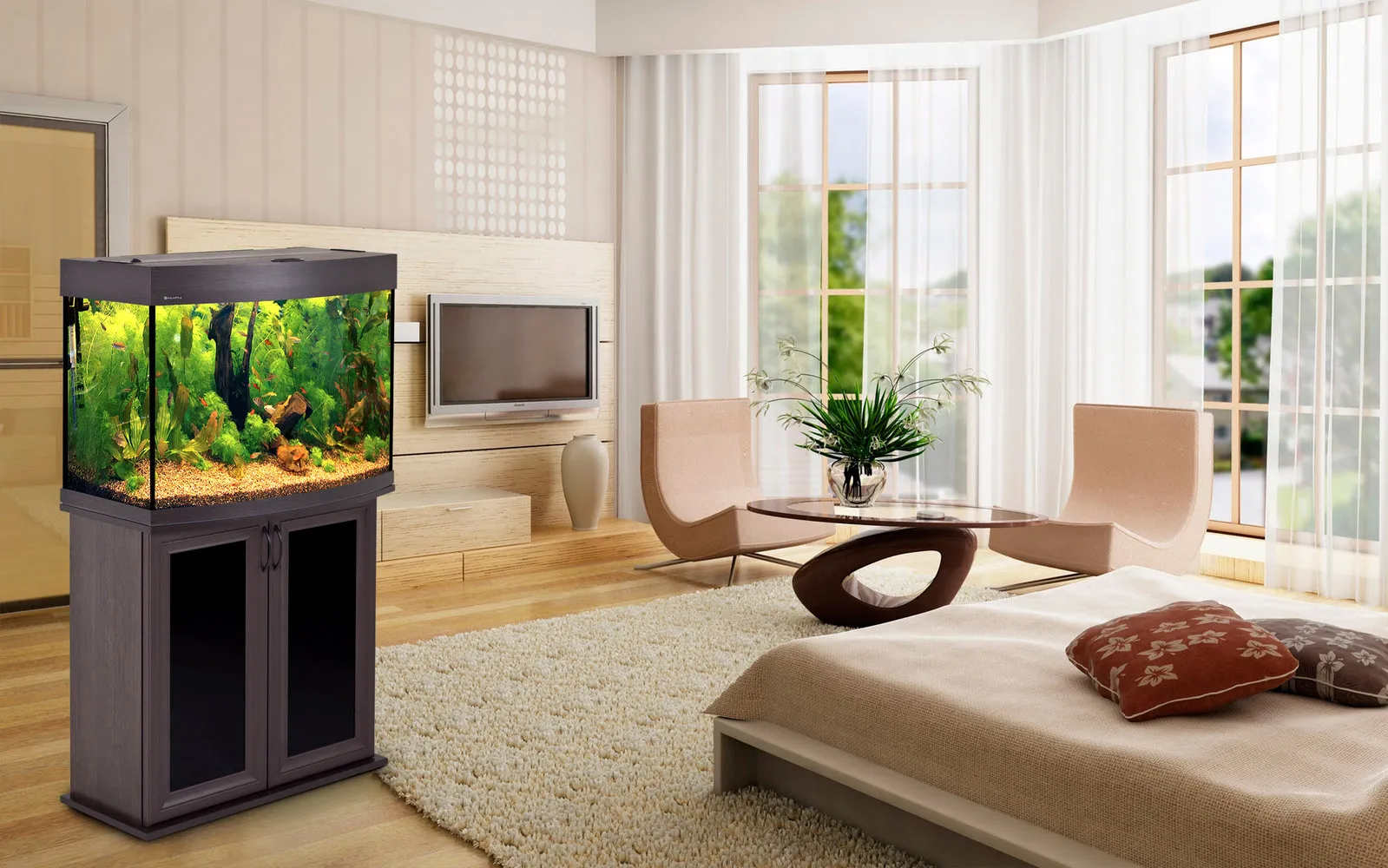 照片：风格、技巧 – 我们网站上的照片