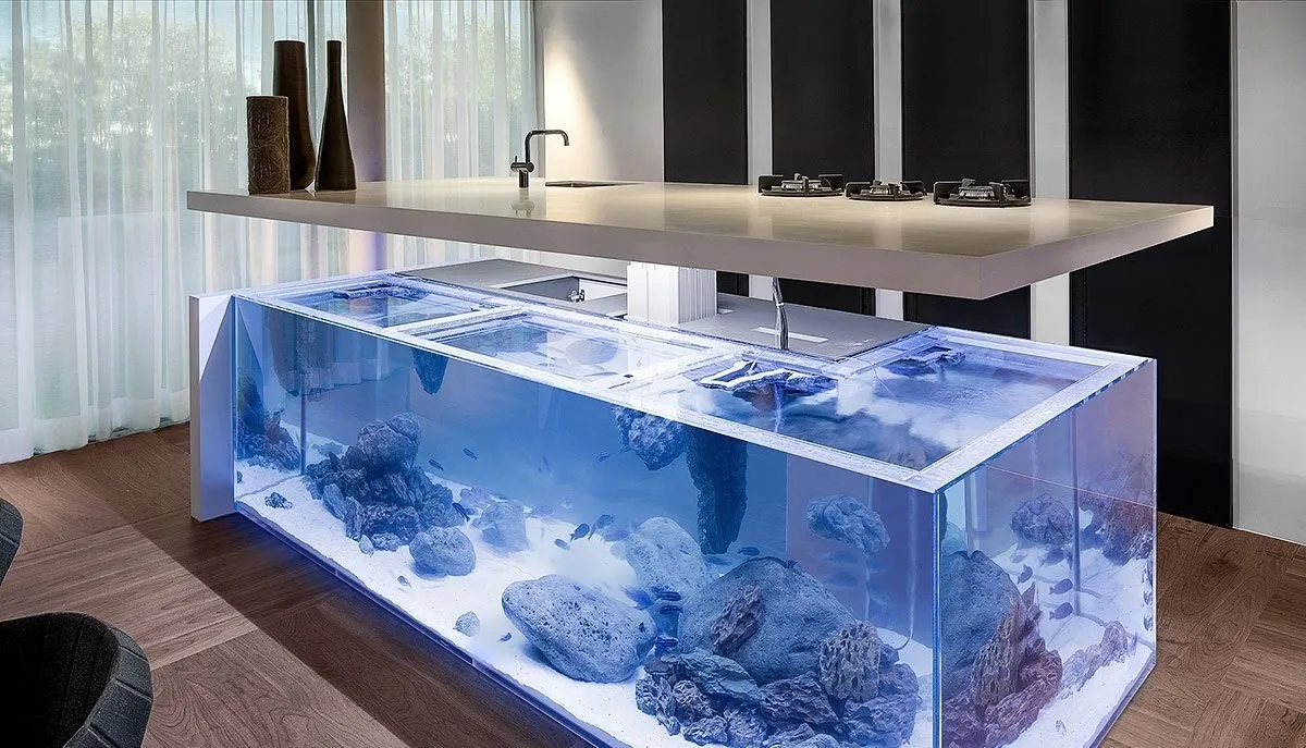 照片：风格、技巧 – 我们网站上的照片