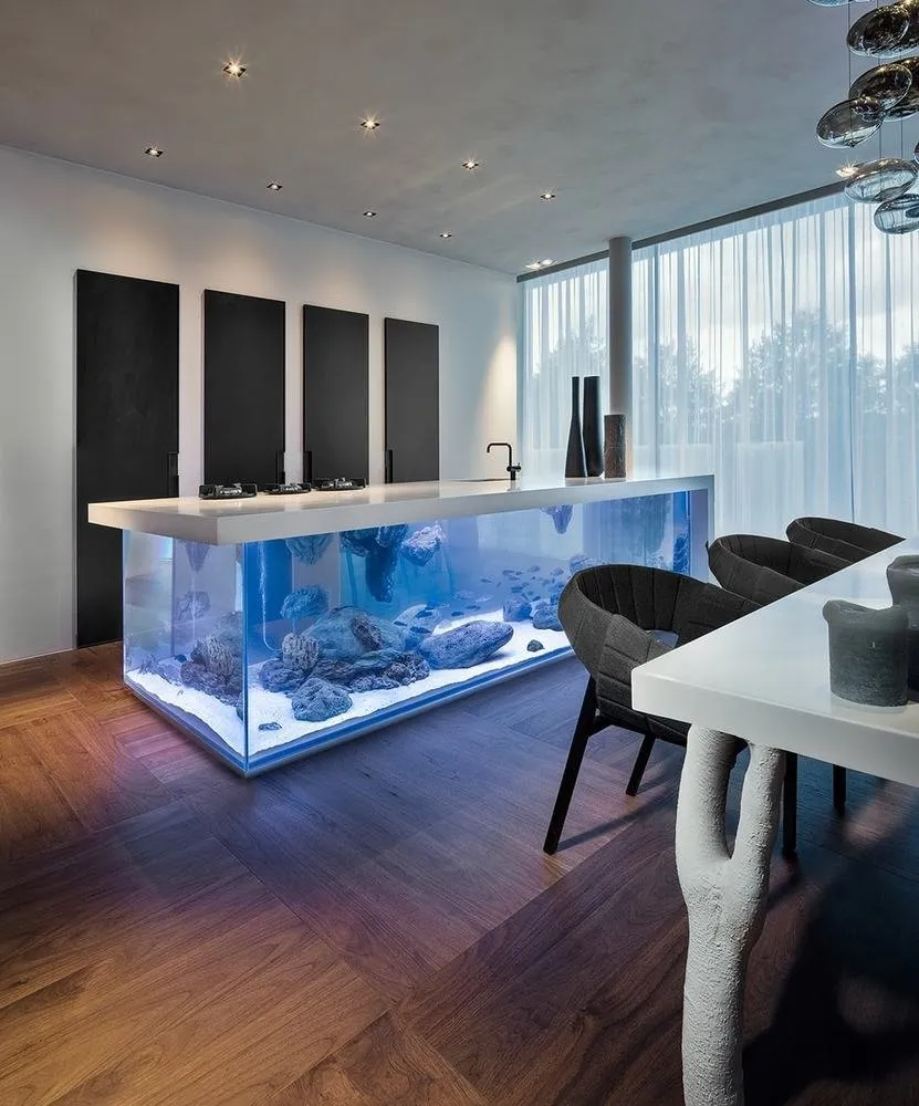 照片：高科技风格的厨房和餐厅，技巧 – 我们网站上的照片