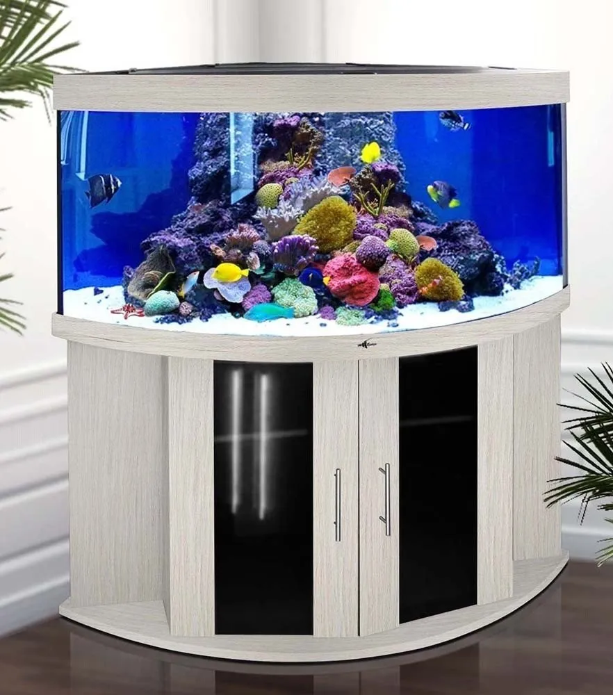 照片：风格、技巧 – 我们网站上的照片