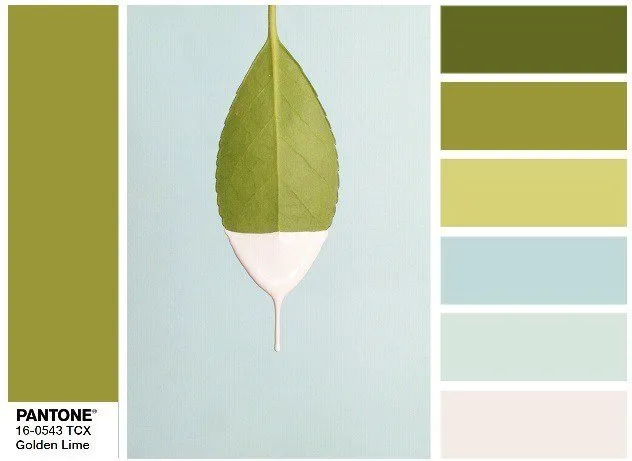 Diseño: Artek Design Studio