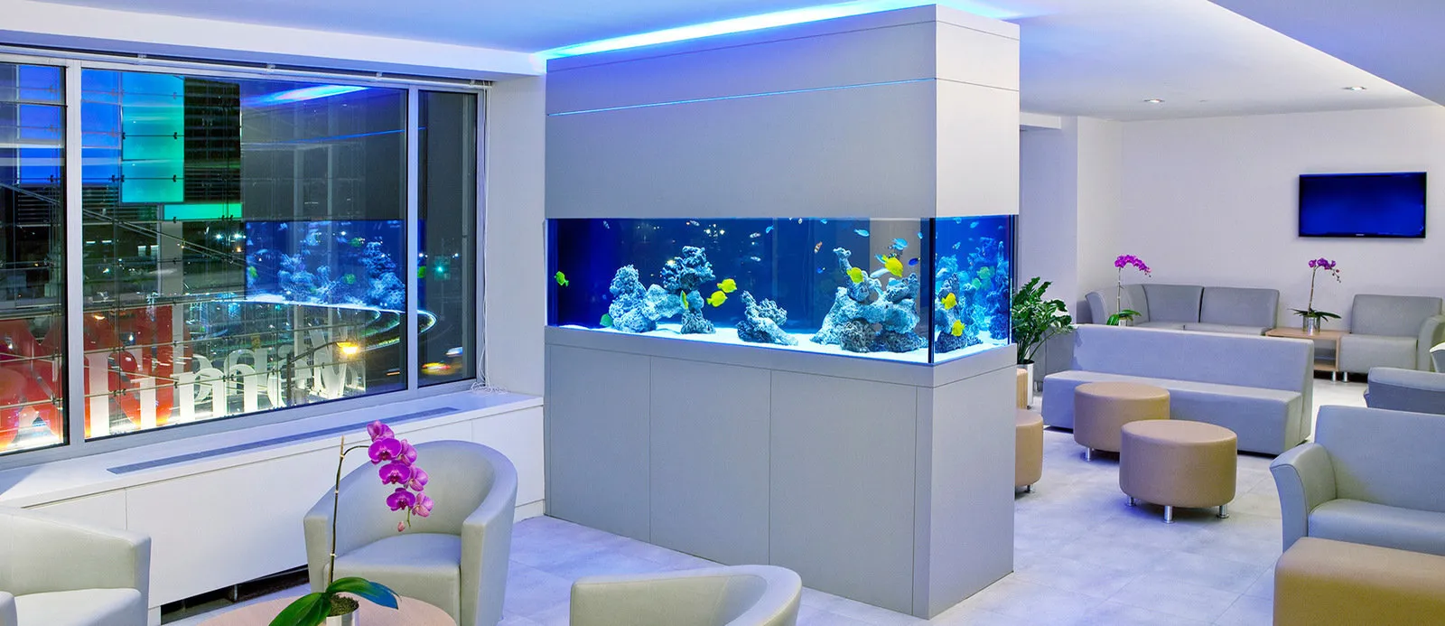 照片：风格、技巧 – 我们网站上的照片