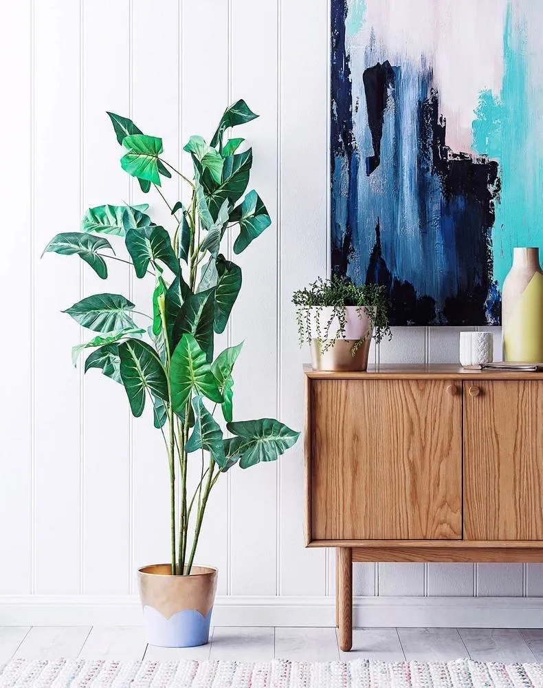 照片：北欧风格装饰，建议，油漆 – 我们网站上的照片