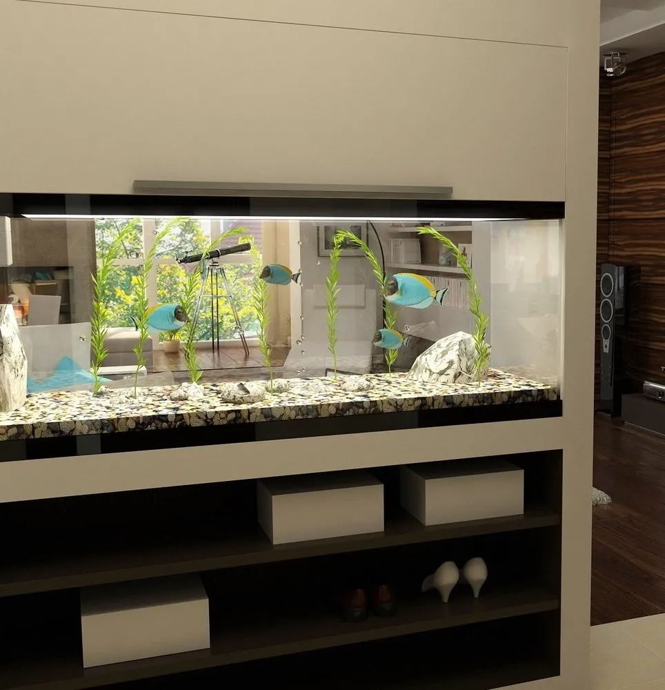 照片：风格、技巧 – 我们网站上的照片