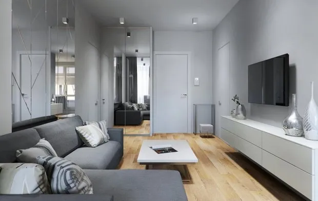 照片：现代风格客厅，改造，指南，伊琳娜·克里茨科娃，百科全书_改造，叶莲娜·科诺瓦洛娃，玛丽娜·斯维特洛娃，安德烈·里巴科夫，奥列西娅·别雷佐夫斯卡娅，尤莉亚·捷尔诺娃，卢德米拉·丹列维奇 – 我们网站上的照片