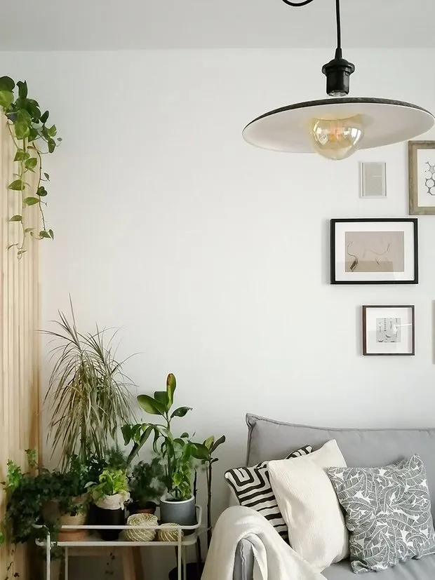 Diseño: Svetlana Melnikova