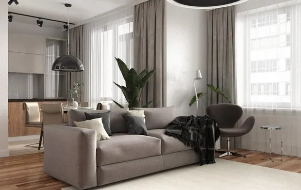 照片：现代风格客厅，改造，指南，伊琳娜·克里茨科娃，百科全书_改造，叶莲娜·科诺瓦洛娃，玛丽娜·斯维特洛娃，安德烈·里巴科夫，奥列西娅·别雷佐夫斯卡娅，尤莉亚·捷尔诺娃，卢德米拉·丹列维奇 – 我们网站上的照片