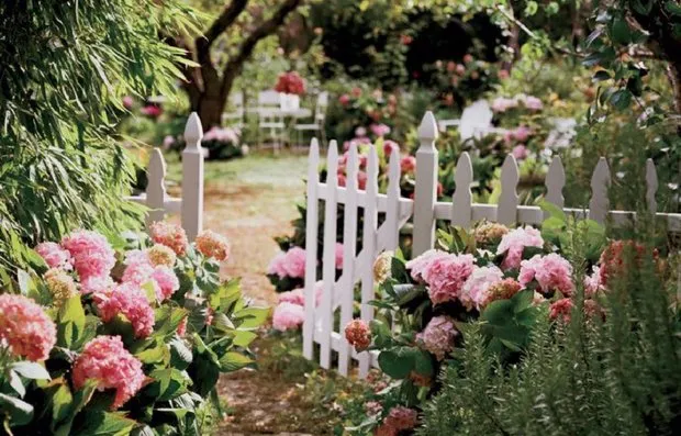 照片:时尚风景,指南,达莉亚·皮科娃,甜蜜之家,卡佳·契斯托娃,阿莱娜·埃雷缅科,卢德米拉·丹尼洛维奇 – 我们网站上的照片