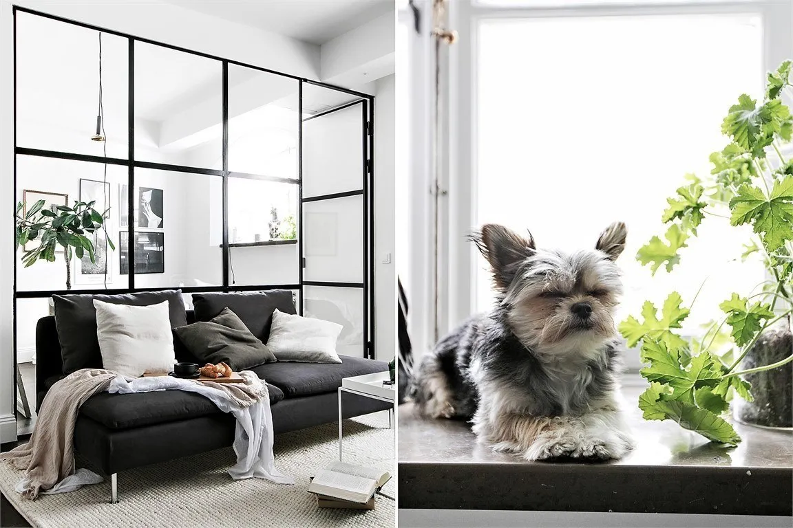 Фотография: Планировки в стиле , Декор интерьера, Квартира – фото на нашем сайте