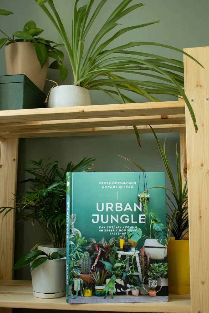 Photo : Entrée dans le style Moderne, LIFESTYLE, sélection de livres – photo sur notre site