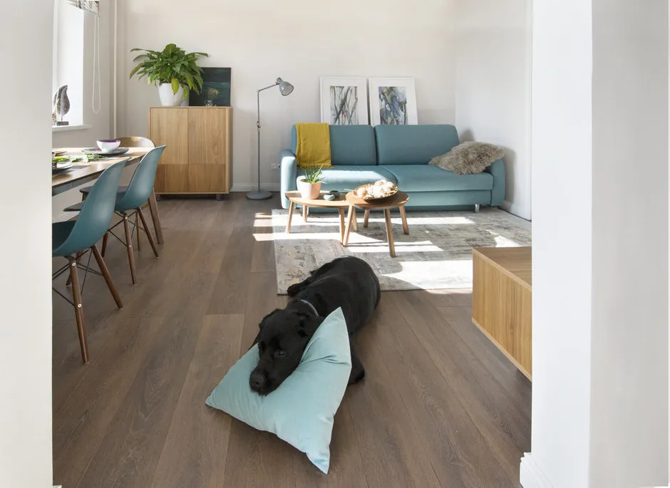 Дизайн: Анна Морозова