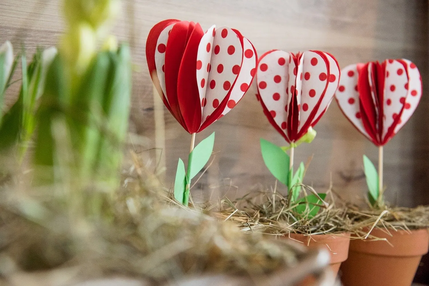 照片：‘童话’住宅小区