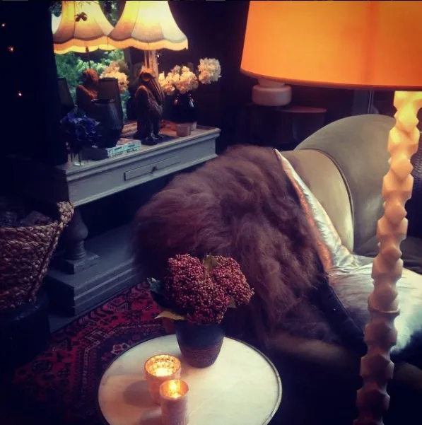 Foto: im Stil , Interview, Designregeln, Abigail Ahern – Foto auf unserer Website