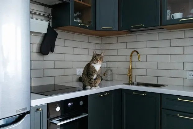 Foto: estilo minimalista, Apartamento pequeño - fotos en nuestro sitio web