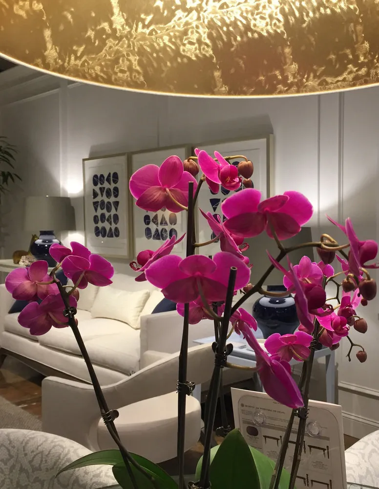 照片：流行趋势，技巧，Inna Usubyana - 我们网站上的照片