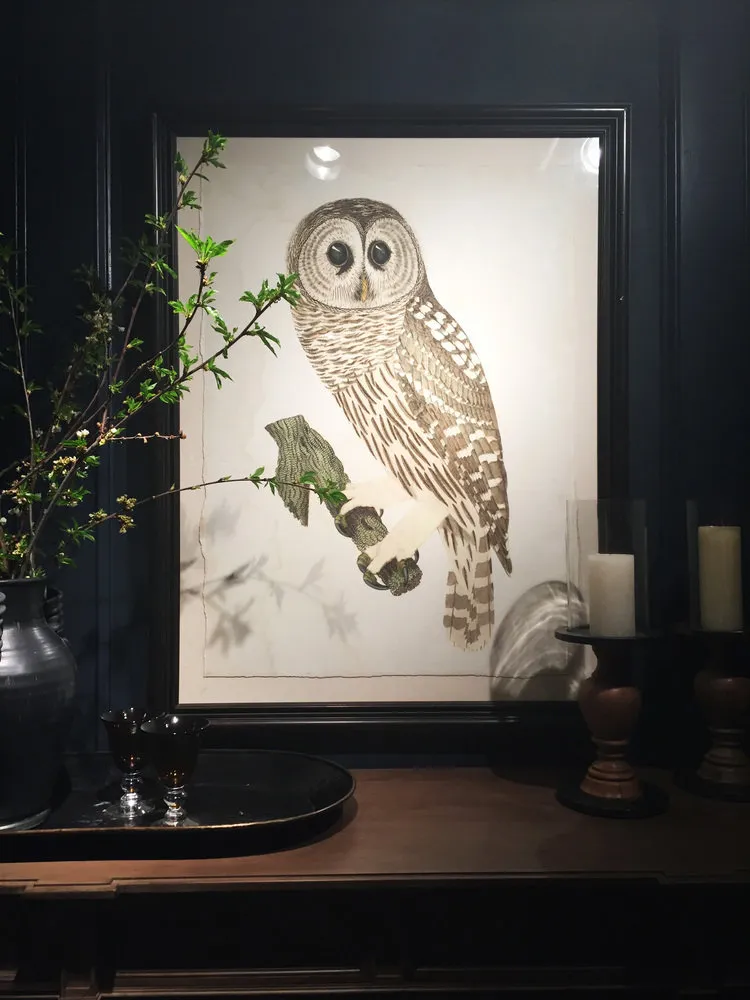 照片：流行趋势，技巧，Inna Usubyana - 我们网站上的照片