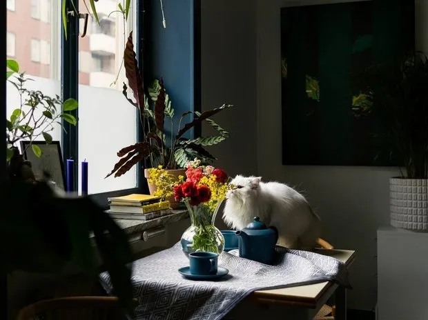 Foto: estilo moderno, Apartamento compacto – foto en nuestro sitio web