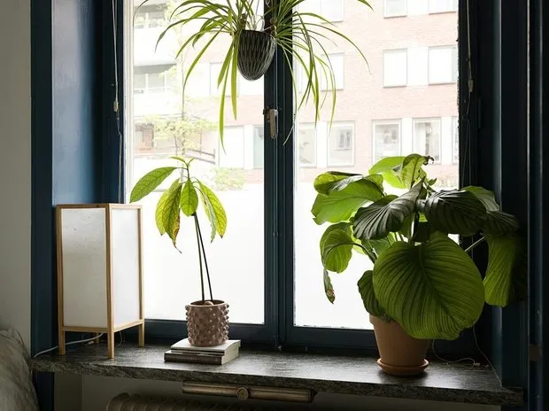 Foto: estilo moderno, Apartamento compacto – foto en nuestro sitio web