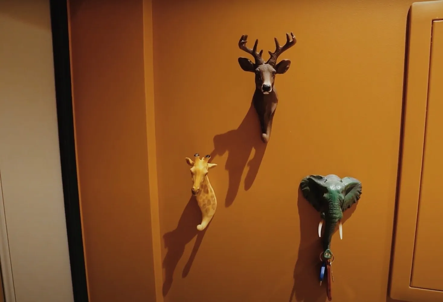 Foto: estilo moderno, Vestíbulo, Guía – foto en nuestro sitio web