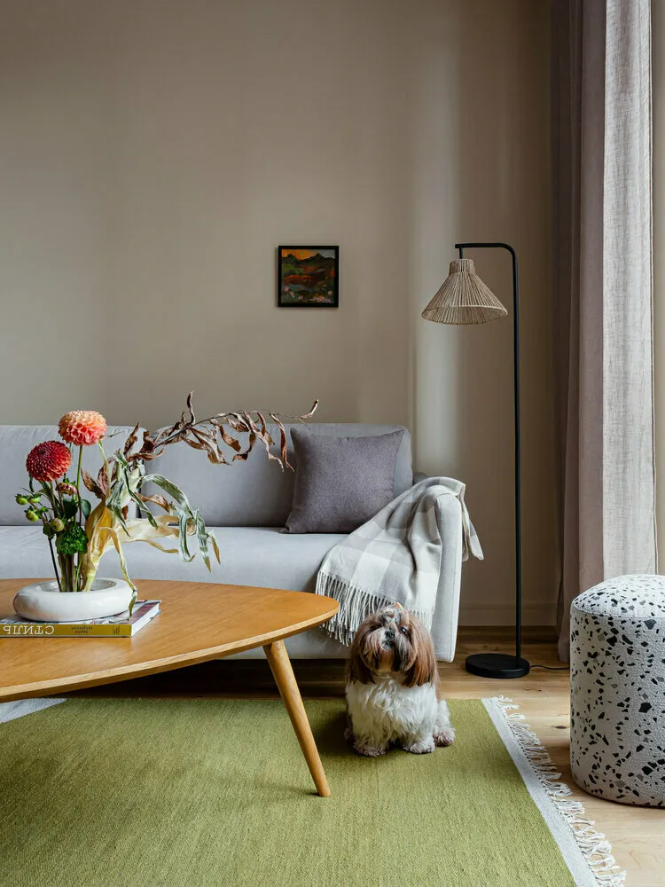 Дизайн: Анастасия Заркуа